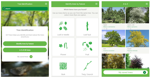 Приложения для распознавания деревьев