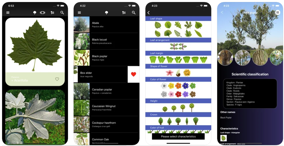 Приложения для распознавания деревьев