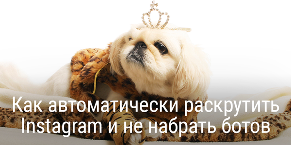 Как автоматически раскрутить Instagram и не набрать ботов