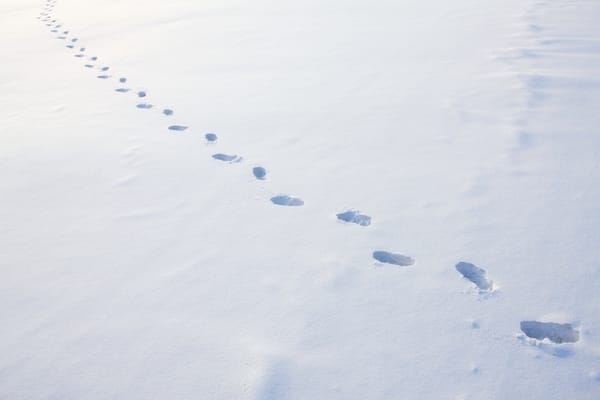 Полезные Android-приложения за декабрь 2018