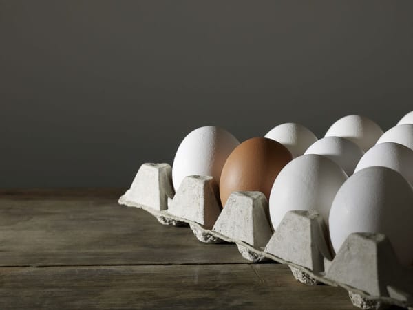 Чем отличается Apple Pay от Google Pay?