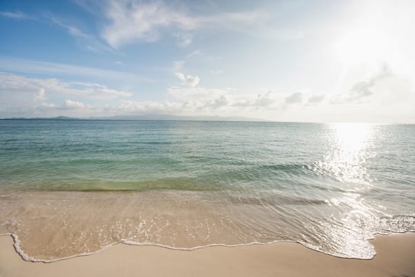 Полезные расширения для Chrome и Firefox за июнь 2019