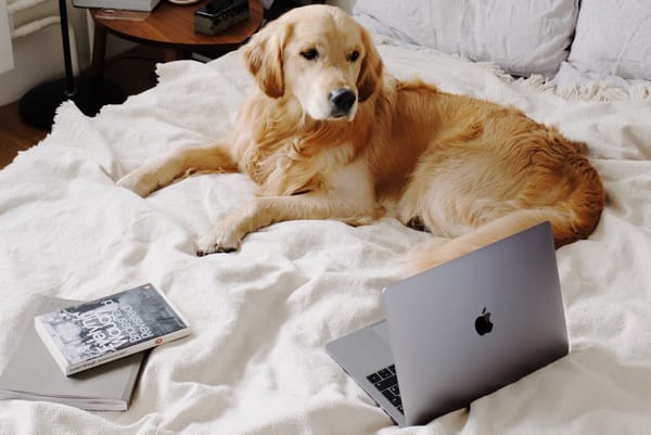 Как настроить Radmin 3 на компьютере