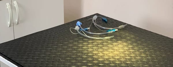 Обзор сервиса Petstory. ДМС для вашего питомца