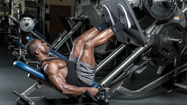 Почему тренировка ног считается важнейшей в силовом тренинге